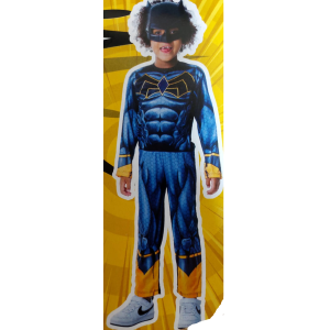 XIS0934 KIT FANTASIA MASK HERO LONGA TOYMASTER